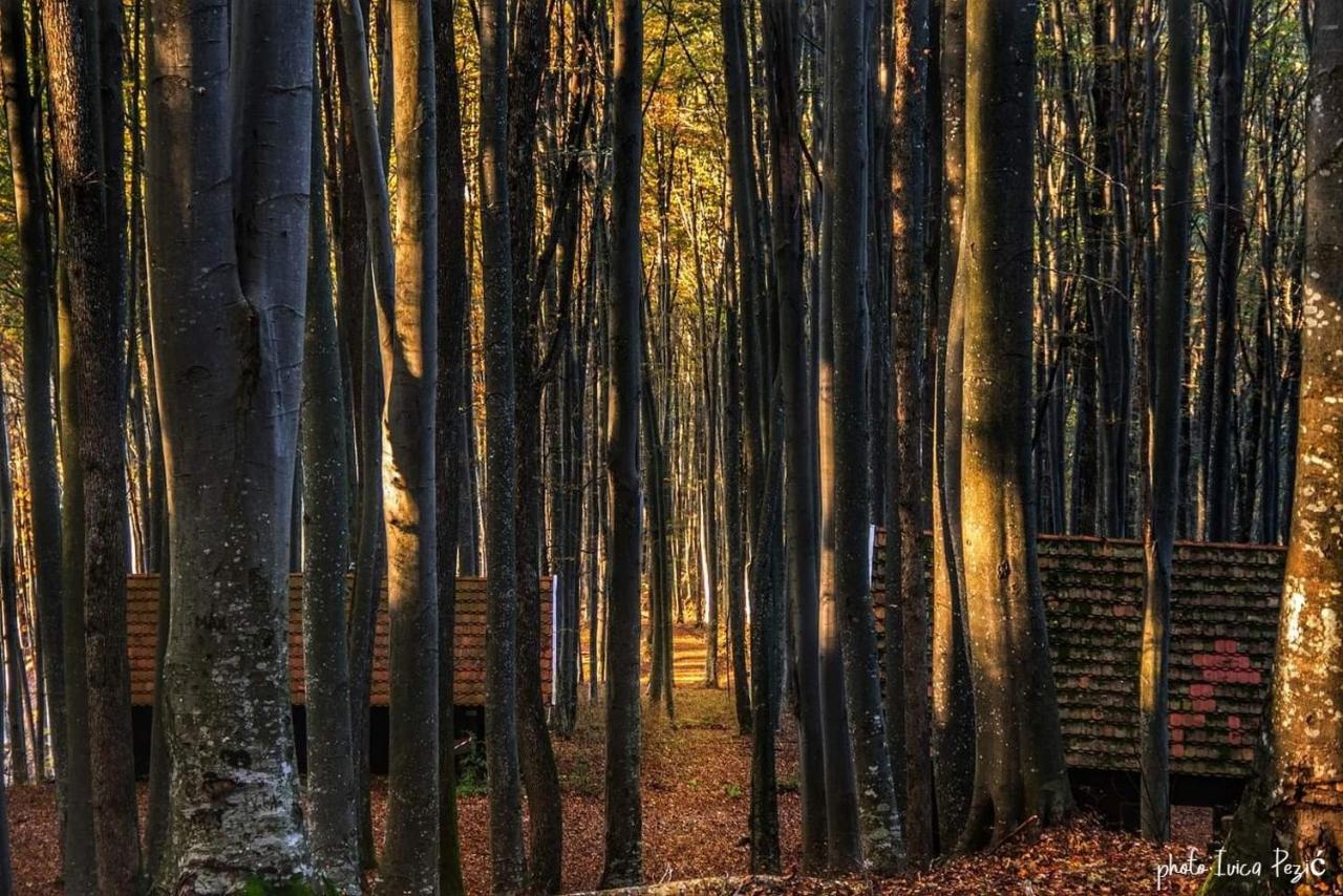 Gasthaus Ruralna Kuca Za Odmor Kablarovo Brdo Krnjak Exterior foto
